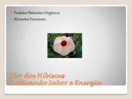 Apresentação Linha Produtos Flor dos Hibiscus