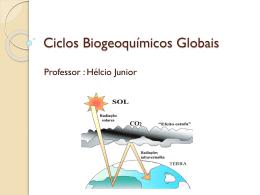Aula sobre Ciclos Biogeoquímicos