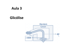 + Glicólise