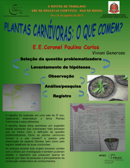 poster 16_plantas ca..