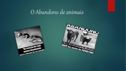 O Abandono dos animais- powerpoint (2)--- (1)