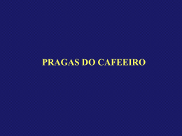 PRAGAS DO CAFEEIRO-29-09 (2819703)