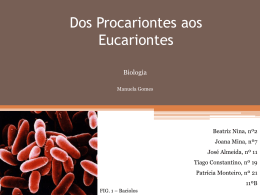 Dos Procariontes aos eucariontes.