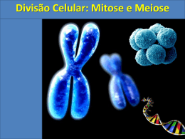 Mitose_e_Meiose.