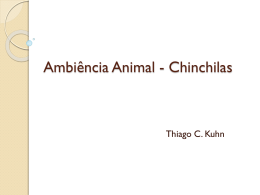 Ambiência Animal - Chinchilas