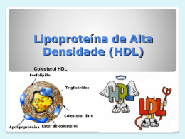 Lipoproteína de Alta Densidade (HDL)