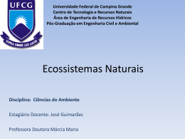 Ecossistemas Naturais - Área de Engenharia de Recursos Hídricos