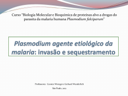 Plasmodium: invasão e sequestramento