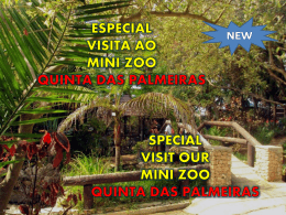 especial visita ao mini zoo quinta das palmeiras inclui o bilhete de