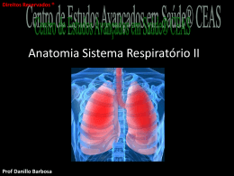 Anatomia Sistema Respiratório Parte II