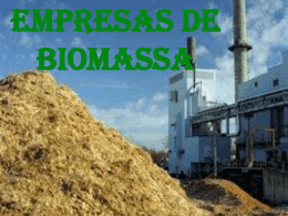 Biomassa - utad0910desrural