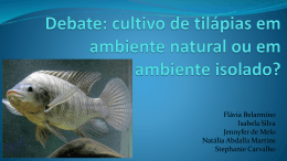 Debate: cultivo de tilápias em ambiente natural ou em ambiente