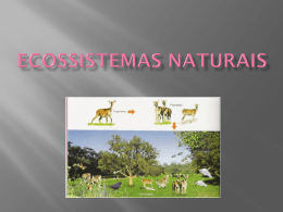 Slides Introdução aos Ecossistemas