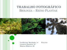 TRABALHO FOTOGRÁFICO Biologia * Reino Plantae