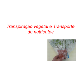 Transpiraçao e Transporte de nutrientes (1761402)