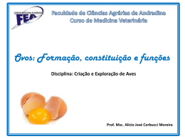 Ovos – constituição e função