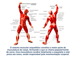 A Fisiologia Muscular