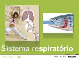 sistema_respiratorio
