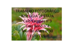 TRABALHO FOTOGRÁFICO BIOLOGIA 2ª ETAPA Caio Campos n°3