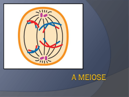 A meiose