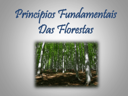 Principios das Florestas e da Biodiversidade – Susana e Ângelo