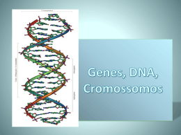 Genes, DNA, Cromossomos (672818)