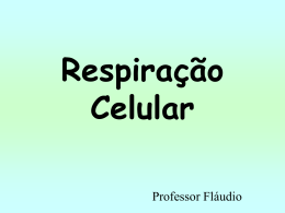 Respiração Celular - Professor Fláudio