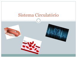 Sistema Circulatório (565622)
