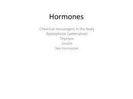 B6 Hormones