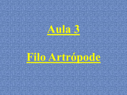 Aula 3 Filo Artrópode Artrópodes – Introdução