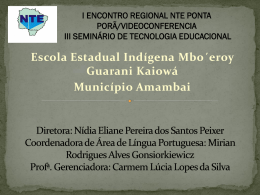 slide da eeim guarani kaiowa webconferencia 17