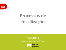 E2 Processos de fossilização CienTIC 7