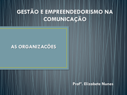 aula 01 – organizações - Profª. Elizabete Nunes