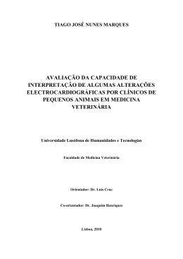 Dissertação de mestrado-Tiago Marques