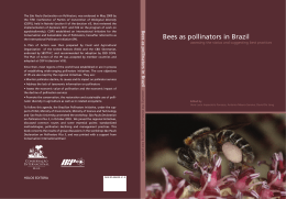 Bees as pollinators in Brazil