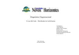 Diagnóstico Organizacional - Faculdade Novos Horizontes