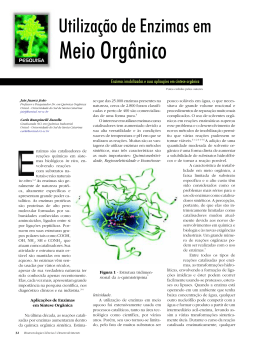 Meio Orgânico - Biotecnologia
