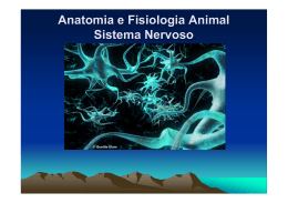 Anatomia e Fisiologia Animal Sistema Nervoso