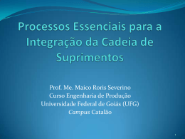 Prof. Ms. Maico Roris Severino (UFG) Tema