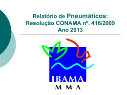 Relatório de Pneumáticos: Resolução CONAMA nº. 416/2009 Ano