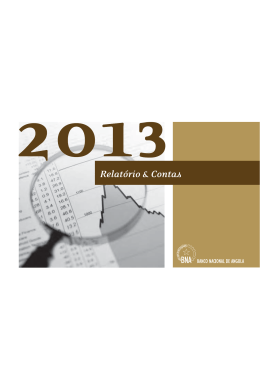 Relatório e Contas 2013
