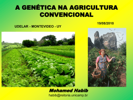 a genética na agricultura convencional