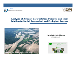 MARIA ISABEL ESCADA_Analysis of Amazon Deforestation Patterns