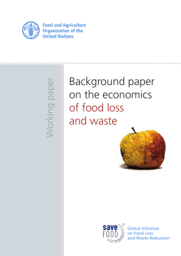 Background paper on the economics of food loss and waste