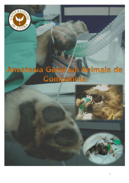 Sebenta anestesia geral em pequenos animais