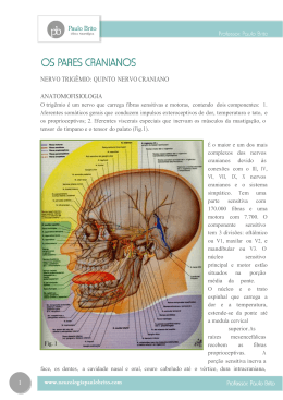1 nervo trigêmio - Clínica Paulo Brito