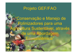 Projeto GEF/FAO “Conservação e Manejo de Polinizadores para