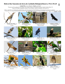 Birds of the Nascentes da Serra do Cachimbo Biological Reserve