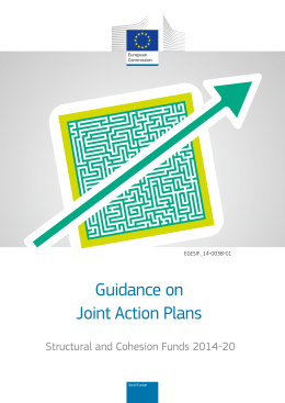 Guidance on Joint Action Plans
