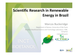 Scientific Research in Renewable Energy in Brazil